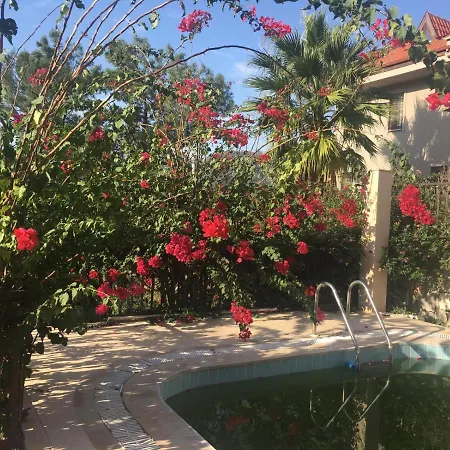 Infinity Exclusive Villas * غوجيك